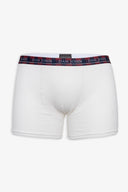 3-pack boxer winter holiday-Dan John