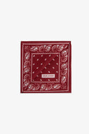 Pochette disegno cashmere mattone-Dan John