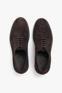 Scarpa derby suede moro