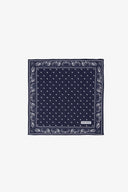 Pochette disegno cashmere blu